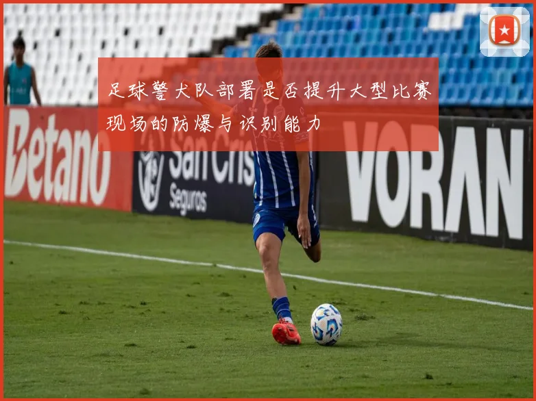 足球警犬队部署是否提升大型比赛现场的防爆与识别能力