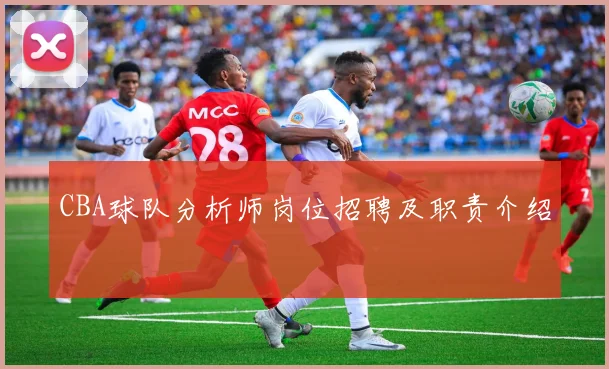 CBA球队分析师岗位招聘及职责介绍