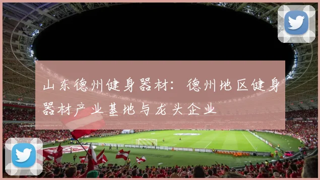 山东德州健身器材：德州地区健身器材产业基地与龙头企业