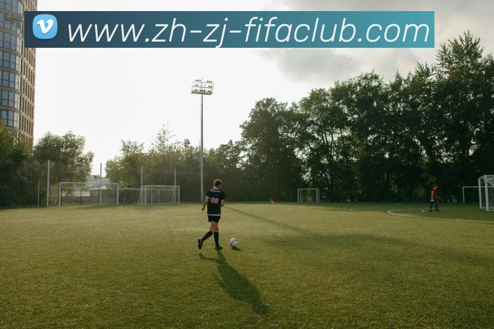 世界杯直播平台生态图